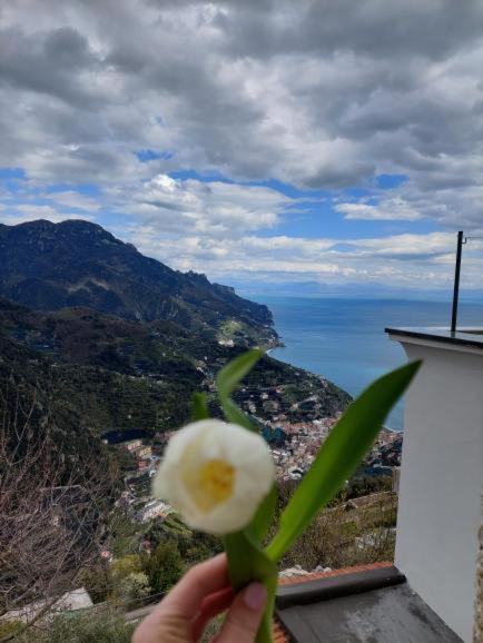 Il Sogno Di Wagner Apartment Ravello Ngoại thất bức ảnh